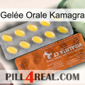 Gelée Orale Kamagra 42